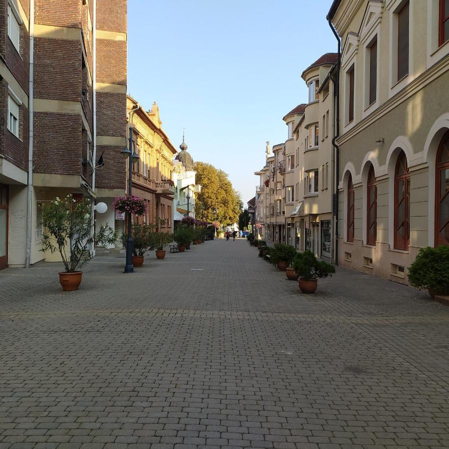 Krénusz Vendégház. Kaposvár Exterior foto